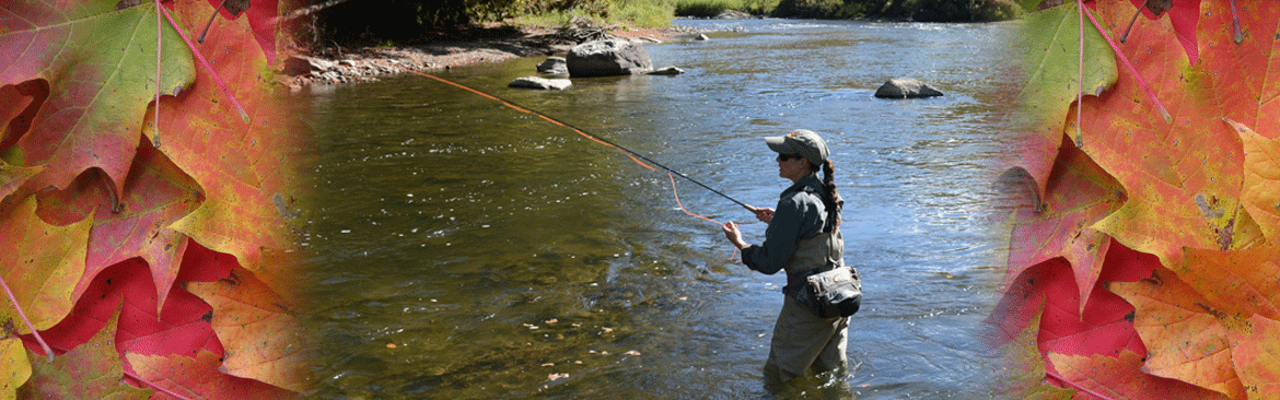 Vermont's Fall Fishing | Vermont Fish & Wildlife Department